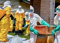 Dịch Ebola: Liên minh chống dịch bệnh tài trợ 60 triệu USD phát triển vaccine