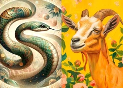 Đúng 20h hôm nay, ngày 2/6/2026, 3 con giáp này vận số xoay chiều, tiền rơi trúng cửa, hốt cả rương vàng, giàu sang chạm nóc
