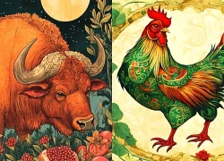 Đúng ngày mai, thứ Năm 4/6/2026, 3 con giáp tiền nhiều vô kể, giàu to không tưởng, hưởng trọn Phú Quý, ăn cả đời không hết của