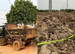 Khởi tố vụ án đổ trái phép hơn 169 tấn chất thải ở Hưng Yên