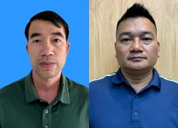 Kiểm tra thùng xốp người phụ nữ giấu gần khách sạn, phát hiện 10kg vảy tê tê