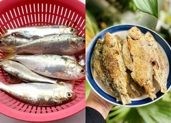 Loại cá bình dân nhưng omega-3 bằng nửa cá hồi, đem kho hay chiên đều ngon