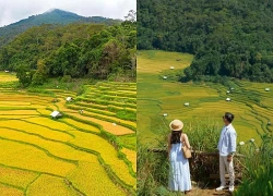 Mùa lúa chín gây 'sốt' ở Măng Đen nhìn từ trên cao