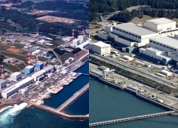 Nhật Bản tiếp tục tháo dỡ nhiên liệu hạt nhân tại Nhà máy Fukushima số 1