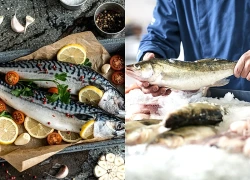 Những loại cá chứa nhiều thủy ngân và kim loại nặng, thích mấy cũng nên tránh ăn