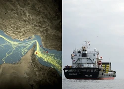NYT: Quân đội Mỹ bí mật dẫn tàu qua eo biển Hormuz