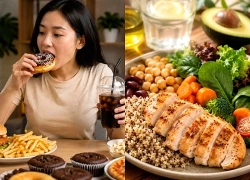 Sự thật về fructose và tinh bột tinh chế khiến gan nhiễm mỡ