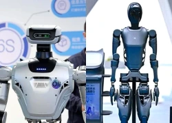 Trung Quốc mở khách sạn đầu tiên phục vụ hoàn toàn bằng robot