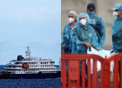 Virus Hanta: Argentina tăng cường giám sát dịch tễ