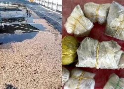 Vụ tôm chết hàng loạt: 8 gói nilon lạ nằm dưới đáy hồ là gì?