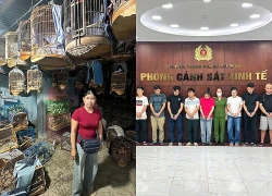 Vụ trạm trưởng kiểm lâm ‘mật báo’ cho chủ cơ sở vi phạm: Thêm nhiều cán bộ bị khởi tố