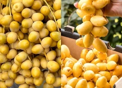 Chà là nhập khẩu bán đầy chợ nhưng nhóm người này không nên ăn