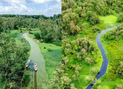 Khám phá rừng tràm Trà Sư - bản giao hưởng xanh giữa miền Tây mùa nước nổi