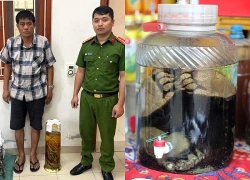 Khởi tố người đàn ông tàng trữ bình rượu ngâm tay gấu