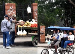 Liên hợp quốc hỗ trợ Cuba tăng cường an ninh lương thực