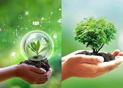 Mối liên quan giữa tiêu thụ đường với bảo vệ môi trường