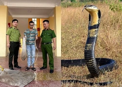 Phát hiện điểm nuôi nhốt trái phép 10 cá thể trăn, rắn hổ mang quý hiếm