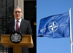 Thủ tướng Anh sẽ lãnh đạo NATO sau khi từ chức?