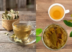 Uống nước lá ổi khô có giúp giảm cân không?