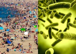 Vi khuẩn tiềm ẩn nguy hiểm xuất hiện ở châu Âu giữa mùa hè thiêu đốt