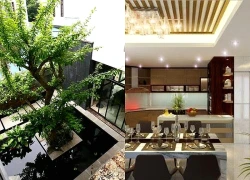 5 dấu hiệu chứng tỏ nhà bạn nằm trên 'kho báu', ở càng lâu càng thịnh vượng