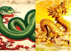 7 ngày bứt phá (3-9/6): 4 tuổi này đón thuận lợi về tiền tài, nỗ lực bao nhiêu gặt quả ngọt bấy nhiêu