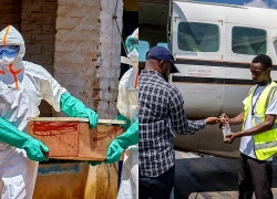 Dịch Ebola: WHO và CDC châu Phi công bố kế hoạch lớn