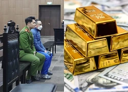 Lừa trăm tỷ bằng lời hứa "thưởng vàng", tổng giám đốc nhận án chung thân