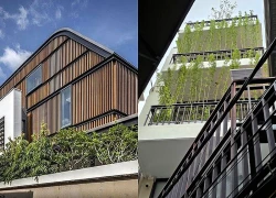 Mẹo chống nóng cho nhà hướng Tây - 'lò nung' giữa mùa hè, giúp giảm nhiệt và tiết kiệm điện đáng kể