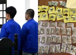Mua bán "cỏ Mỹ", 3 người đàn ông chia nhau 27 năm tù