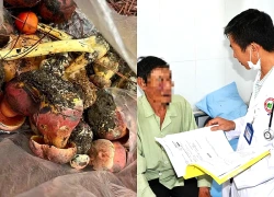 Nhiều người bị ngộ độc khi ăn nấm hái trong rừng thông Đà Lạt