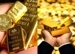 Thưởng vàng cho người góp vốn từ 100 triệu đồng, Chủ tịch HĐQT chiếm đoạt hàng trăm tỷ