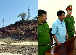 Bắt tạm giam người đàn ông dùng máy móc xẻ cả quả đồi