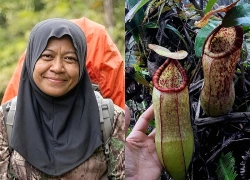 Bị lạc trong rừng 14 ngày không có thức ăn, người phụ nữ sống sót nhờ 1 thứ không ai ngờ