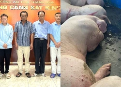 'Chuyền tay' tiêu thụ 21 con lợn bệnh, 4 người đàn ông bị khởi tố