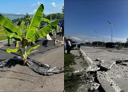 Động đất tại Philippines: Ghi nhận sóng thần cao 1,4m
