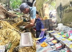 Hàng chục hài cốt thai nhi nằm rải rác ở các gốc cây, bờ tường