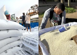 Ngành gạo Mỹ tìm kiếm cơ hội tại thị trường Cuba