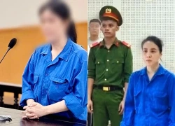 Nữ nhân viên ngân hàng lĩnh 13 năm tù vì chiếm đoạt hơn 33 tỷ đồng