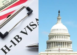 Tòa án liên bang Mỹ hủy bỏ quy định áp lệ phí 100.000 USD đối với hồ sơ H-1B