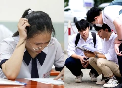 Đề Văn 2026: Phản biện đề “Steve Jobs Việt Nam” liệu thí sinh có mất điểm oan?