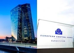 ECB chuẩn bị đợt tăng lãi suất phòng ngừa rủi ro lạm phát leo thang