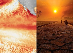 El Nino chính thức hình thành, có thể đạt cường độ mạnh nhất hơn 75 năm qua