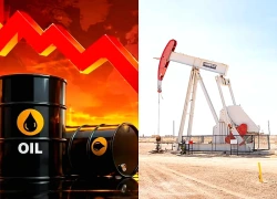 Giá dầu chạm đáy 3 tháng: Cánh cửa hòa bình Mỹ - Iran mở ra?