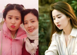 Mỹ nhân ngành múa được khen đẹp hơn cả Lưu Diệc Phi: Mẹ đơn thân nhiều người theo đuổi, đến giờ vẫn chưa tái hôn