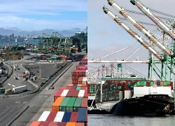 Mỹ: Tòa Phúc thẩm liên bang cho phép chính phủ tiếp tục thu thuế quan toàn cầu 10%