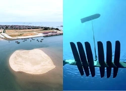 Trung Quốc lo ngại 'rùa, cá gián điệp' đánh cắp dữ liệu biển