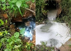Xử phạt hai cơ sở xả nước thải vượt quy chuẩn ra môi trường