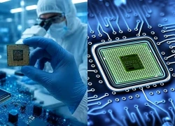TP Hồ Chí Minh thúc đẩy hợp tác với NVIDIA, AMD