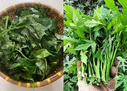 Cây mọc bờ rào "ngọt như mì chính", trồng một lần hái bán quanh năm, thành đặc sản nổi tiếng tốt cho sức khỏe